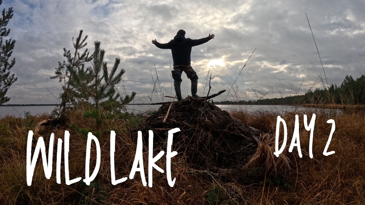 In search of food | Surviving in wild