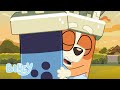 Kindest Moments | Bluey Valentine's | Bluey