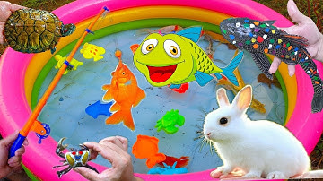 Bạn Thỏ Trắng Đi Câu Cá Ngoài Thác Nước Lớn Câu Được Nhiêu Cá Koi, Cua, Rùa - Tập 4