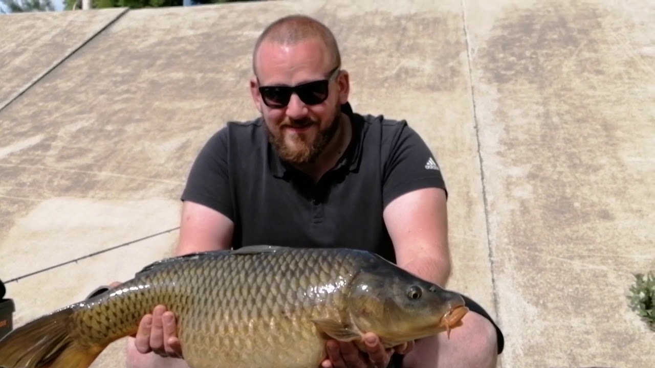 100% URBAN 100% SAVAGE #2