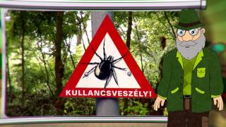 Erdő Ernő Bácsi Meséi - Miért Veszélyes A Kullancs?