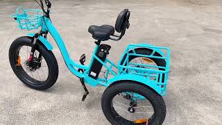 Premium Large Wheel Full Fat Adult Fat Tire Electric Trike 750W Tricycle Electric Bike 3 Wheels With