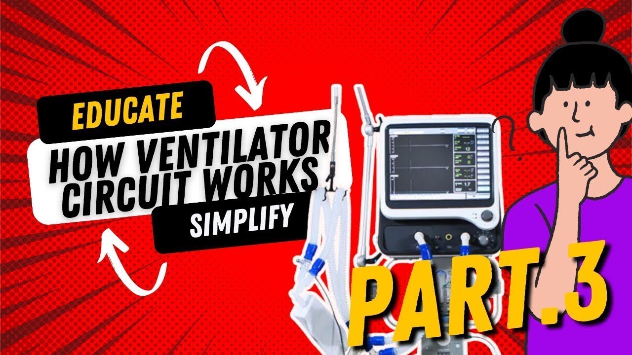 How Mechanical Ventilator Circuit Work Part3 