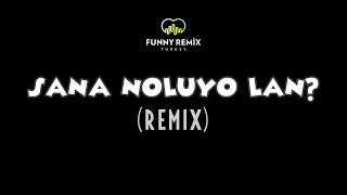 Funny Remix Turkey Sana Noluyo Lan? Remix
