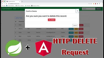 How to code a DELETE Operation using Angular