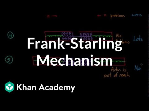 Frank-Starling mechanism | Circulatory system physiology | NCLEX-RN | Khan Academy