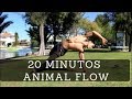 20 minutos de movimiento natural (animal flow) rutina de creatividad guiada
