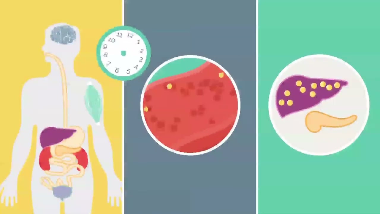 Qu'est-ce que le diabète ? Diabète de type 1 et diabète de type 2, Oscar vous explique tout.