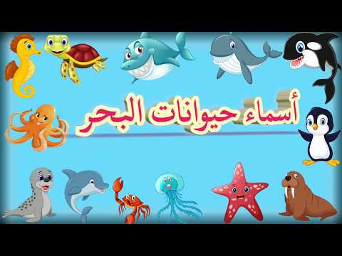 sea animals names for kids in arabic أسماء الحيوانات البحرية باللغة العربية