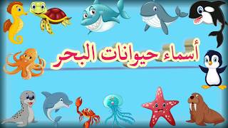 sea animals names for kids in arabic أسماء الحيوانات البحرية باللغة العربية