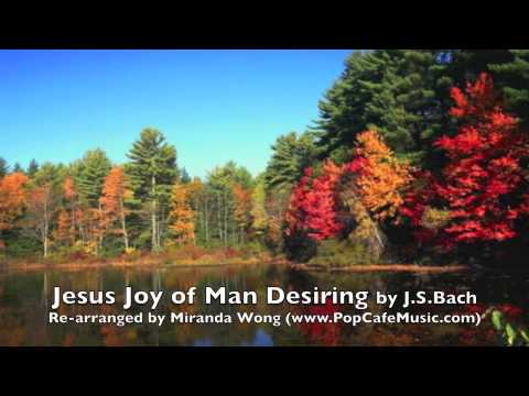 Jesus Joy of Man Desiring - Classical Wedding Musi...