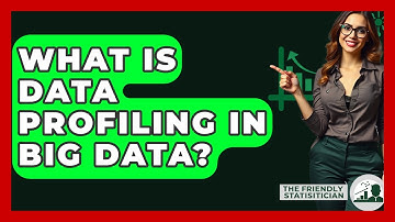 What Is Data Profiling In Big Data? - The Friendly Statistician