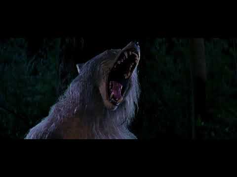 Bad Moon (1996) - Werewolf Transformation Scene HD