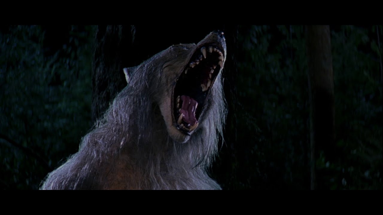 Bad Moon 1996 Werewolf Transformation Scene Hd Youtube 