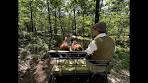 A carriage ride with family across the Veluwe is an experience ... - YouTube