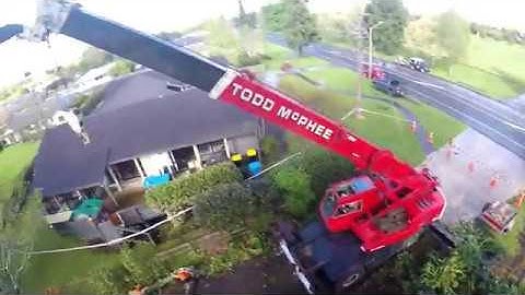 Huge Old Oak Tree Crane dismantle - Arborist Rigging - Part 2 of 4