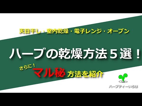 ハーブの乾燥方法５選！天日干しや室内乾燥、電子レンジやオーブン、マル秘方法を紹介