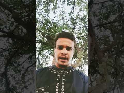 إنك لا تخلف الميعاد القارئ أحمد بن عبد العزيز