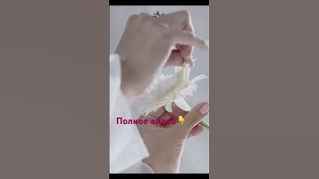 Thumbnail of Почему этот цветок так важен для любви?