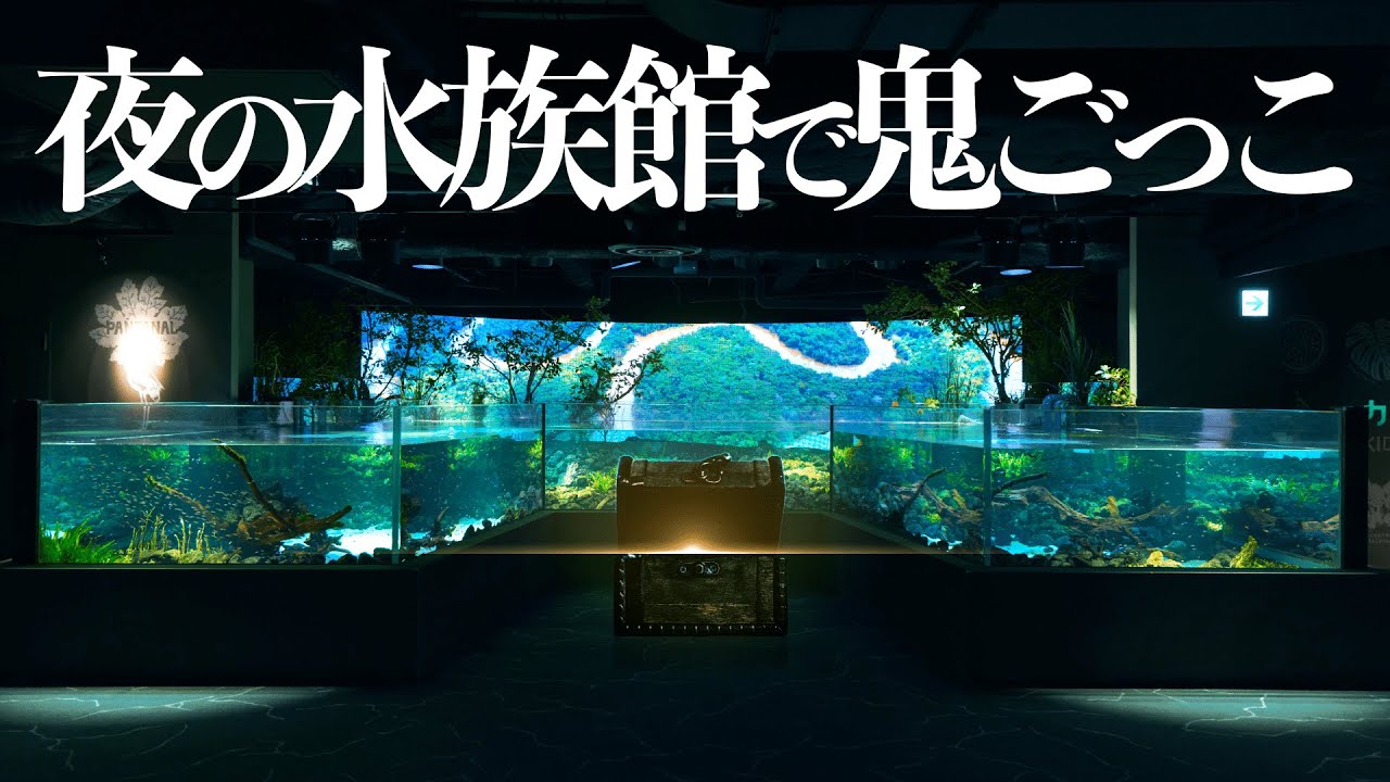 水族館を貸し切って謎解き鬼ごっこしてみた