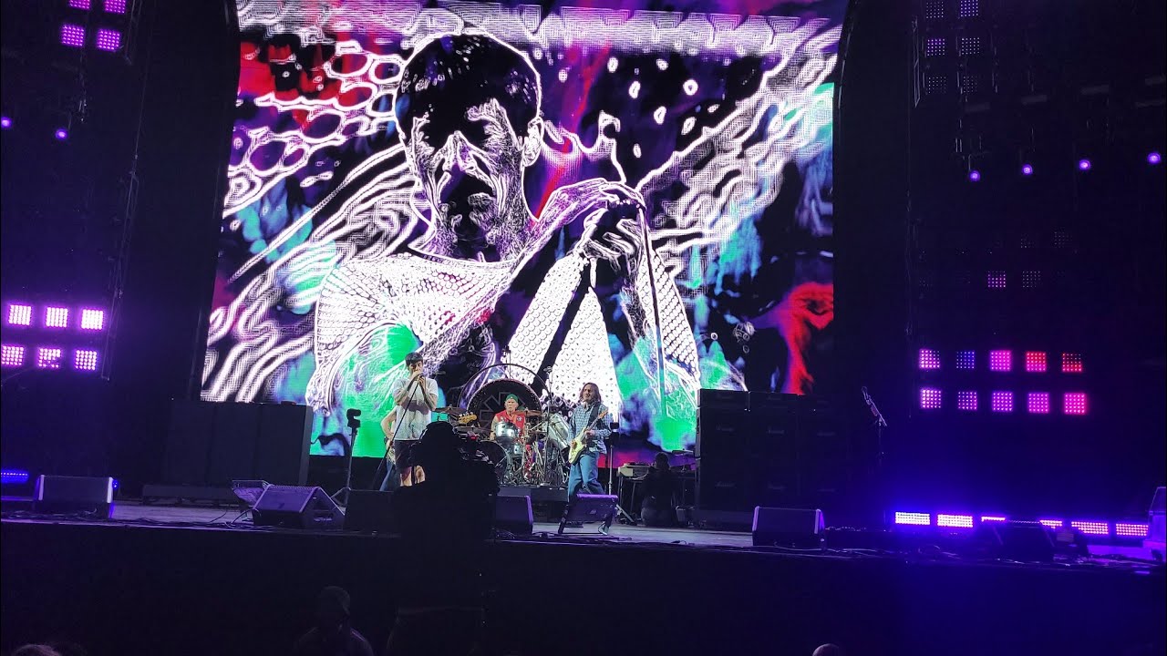 Eddie' - Red Hot Chili Peppers LIVE, Auckland NZ 2023 | Mt. Smart
