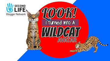 Chilling out being a WILDCAT AVATAR in SECOND LIFE VIRTUAL WORLD