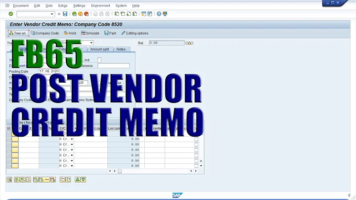 Efficiently process vendor credit memos with SAP Transaction FB65