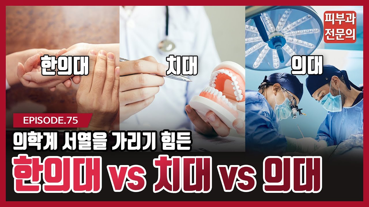 사람들은 잘 알지 못하는 한의대 vs 치대 vs 의대