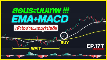 EP.177 🚨"วิธีเปลี่ยนระบบพื้นๆ EMA + MACD ให้เป็นระบบเทพ !!!"