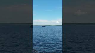 Se inscreva no Canal Deixe seu like #paisagem #natureza #beleza #rio #Manaus #turismo #fauna