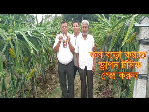 ভিডিও: কোম্পানীর ব্যালেন্স শীটে মূর্ত অ-কারেন্ট সম্পদ