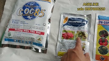 Loại Gốc Đồng Nào Mạnh nhất và mát. Trị Cả Nấm Khuẩn. Là Nông Dân Nên Xem Video Này