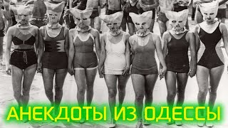 Пошлые Анекдоты из Одессы про Девушек Легкого Поведения №286