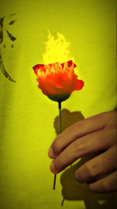 Download lagu bunga mawar terbakar api yang bisa kalian coba!#shorts