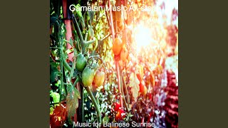 High-class Guitar and Gamalan - Vibe for Java Sunsets