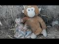 Feeding the Orphan Monkey Family Living with a Stuffed Mother