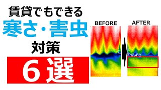 賃貸・一人暮らし寒さ・害虫（ゴキブリ対策）対策必須