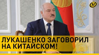 Лукашенко поблагодарил на китайском гостя из Поднебесной| Беларусь и Китай планируют новые проекты