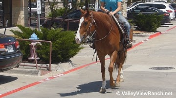 Heza Jolly Bug - riding around town! - ValleyViewRanch.net