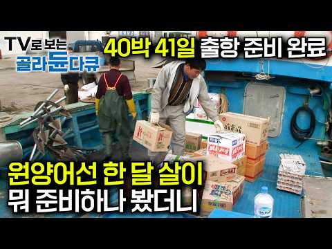 Caught in Korea, Loved in Japan: Inside Conger Eel Trap Fishing #PICKDOCU