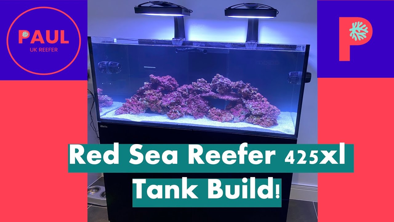 Red Sea Reefer 425 XL reef tank arrival, build and installation