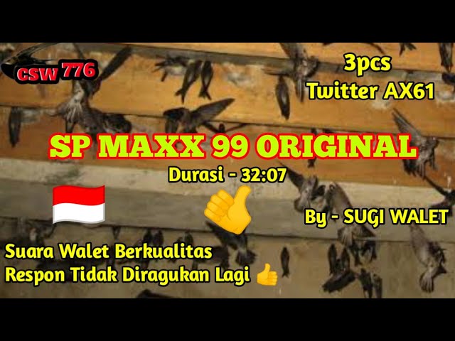 SP MAXX 99 ORIGINAL By SUGI WALET - SUARA PANGGIL WALET ANTI GALAU - RESPON MANTAP class=