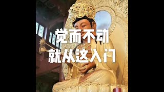 Details 201809 觉而不动 就从这入门23939 Update