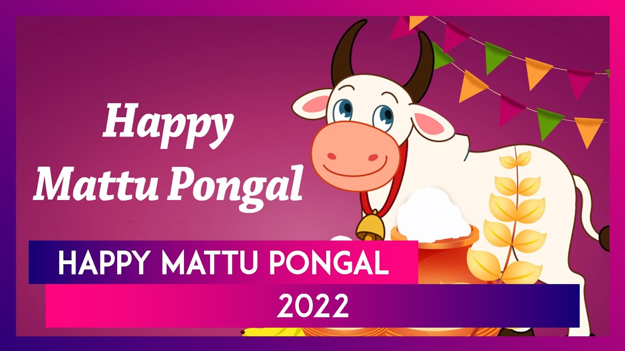 Mattu Pongal 2022 Wishes: Joyful Quotes, Greetings & Images For ...