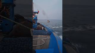 Prigi Trenggalek pantaiprigiprigitrenggalek cover song story musik