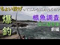 【爆釣】三浦半島の地磯でちょい投げ釣り 前編 根魚調査 カサゴ MANCING MANIA JAPAN
