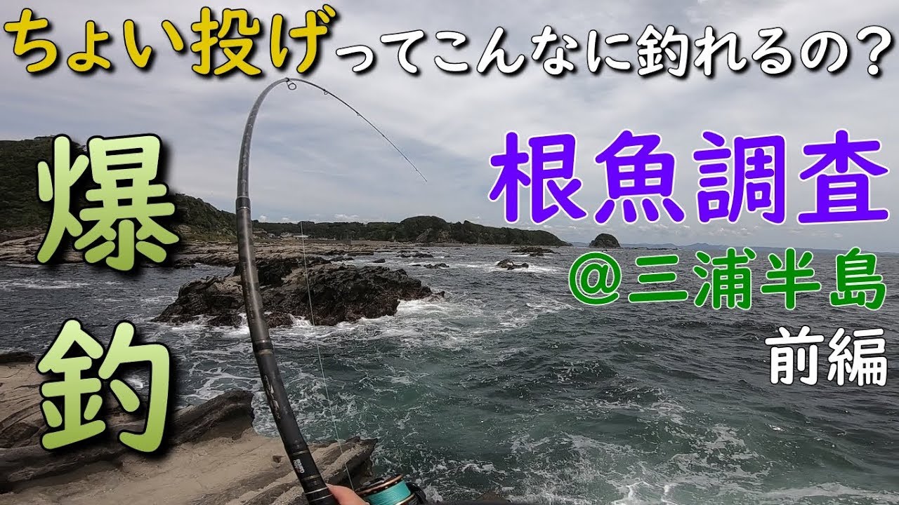 Grouper Fishing In Kanagawa Japan Youtube