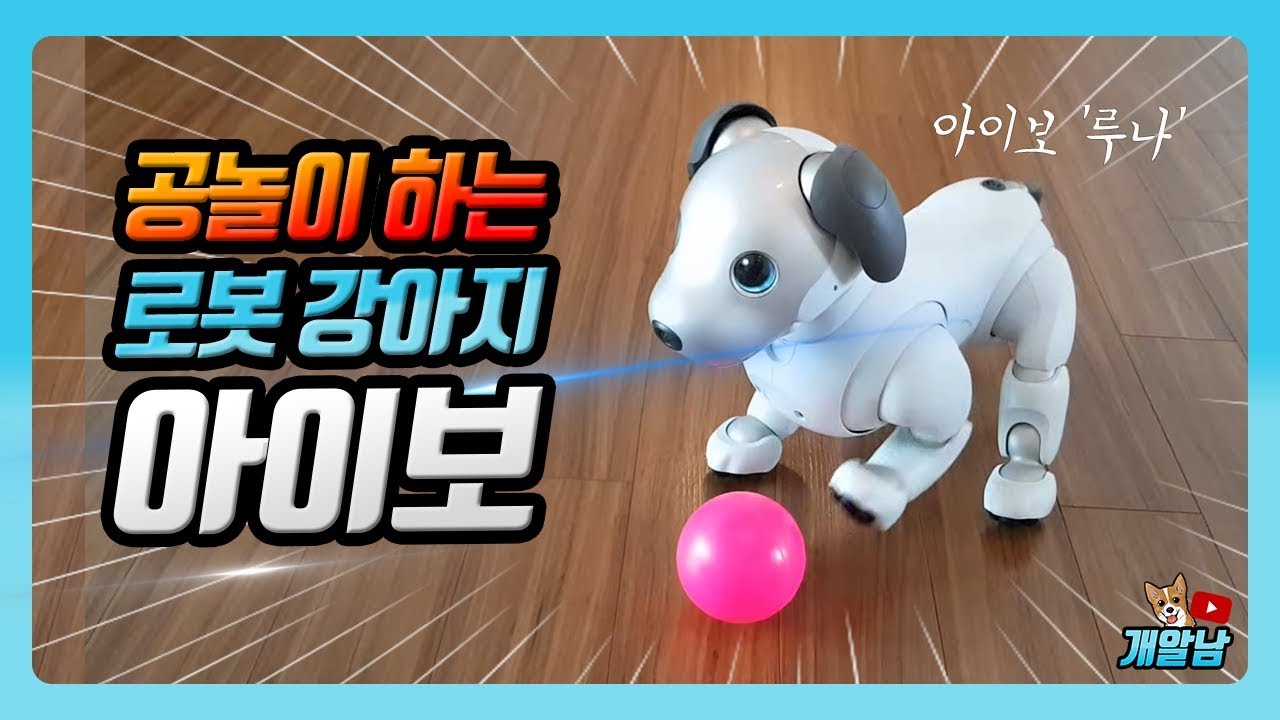 공놀이 하는 로봇 강아지 아이보! Robot dog AIBO playing with a ball YouTube