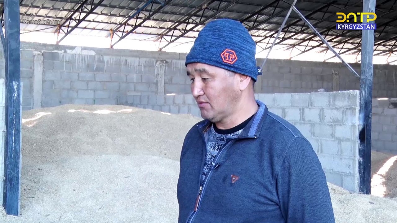 Кошой айылы