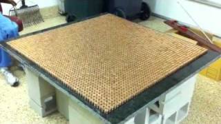 First row penny pyramid guinness world record